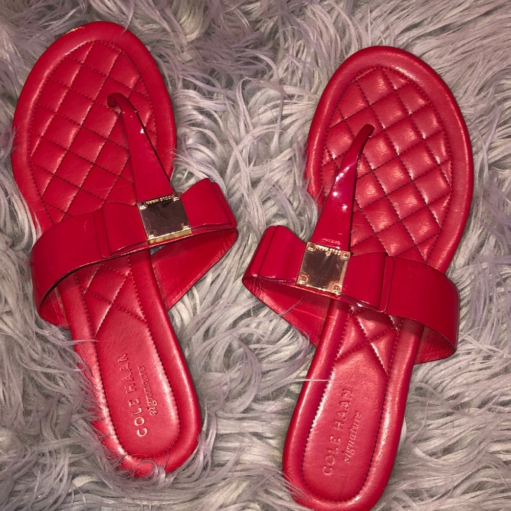 Cole Haan Designer Flip Flops